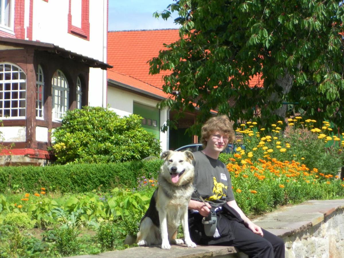 トレンデルブルク Cosy Flat On A Family Friendly Holiday Farm In Northern Hesseヴィラ エクステリア 写真